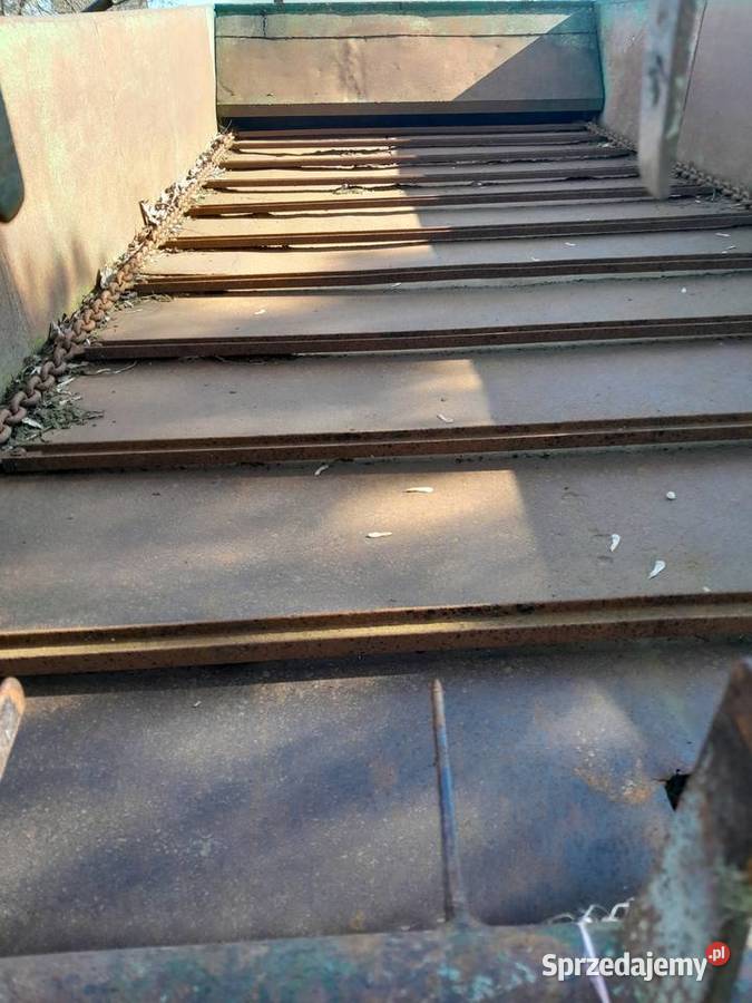 czarna bialostocka Pakość sprzedam