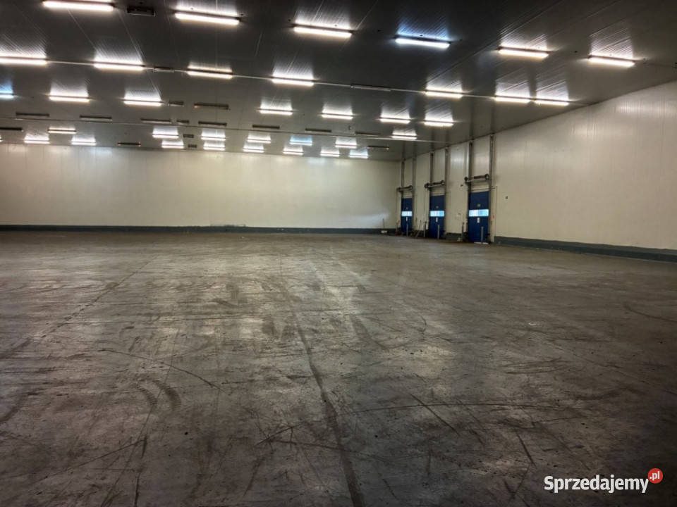 Magazyny z izolacją termiczną w Szczecinku Wynajem Szczecinek sprzedam