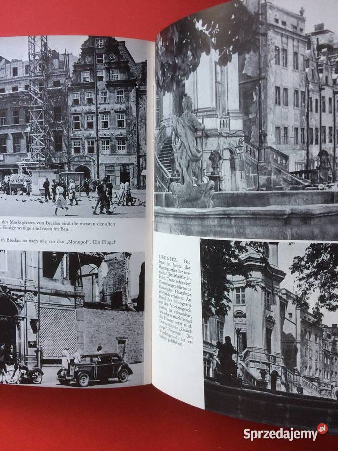 2860 Pod Polską Administracją Gdańsk Śląsk