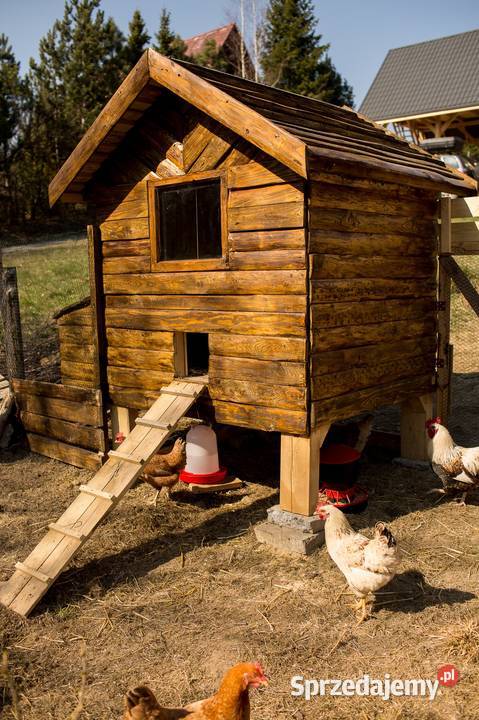 Kurnik kur XXL 1418 kaczek sosna Ocieplony Zagórnik