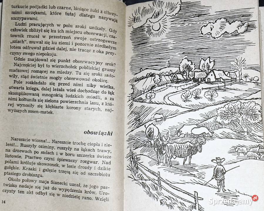 Drapieżcy Teodor Goździkiewicz Chełm