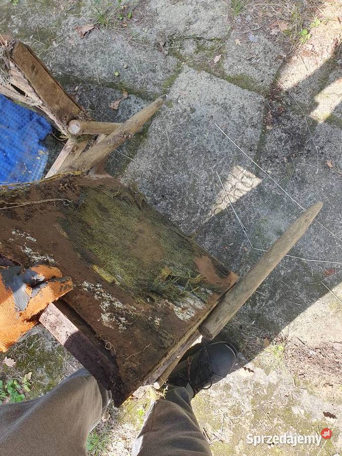 Fotele Celia typ 300227 Krzesła stare antyki Antyki mazowieckie Warszawa