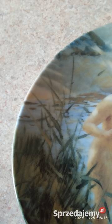 talerze kolekcjonerskieBradex Nowy Targ