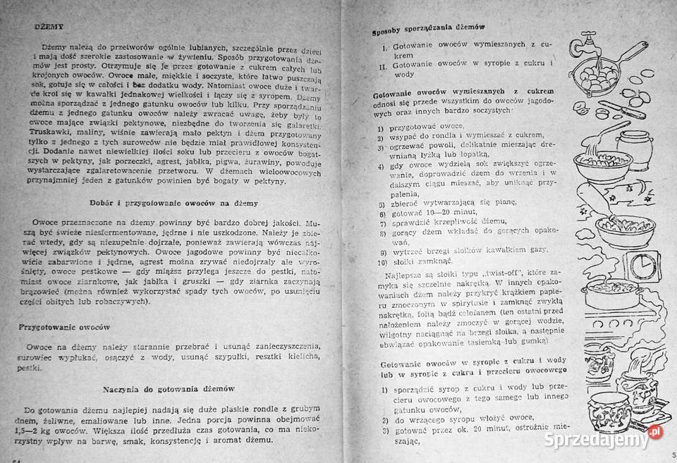 Przetwórstwo domowe warzyw i owoców Ilona Chełm