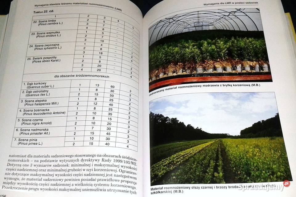 Leśna baza nasienna w Polsce Wojciech Fonder Jan Chełm