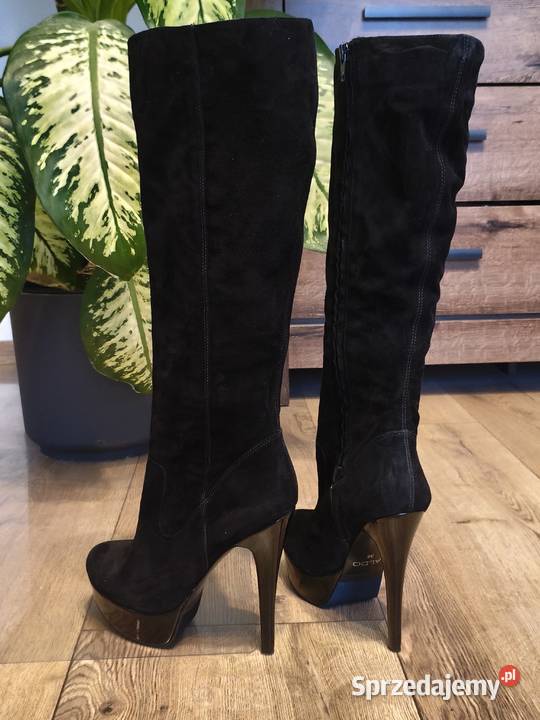 Czarne eleganckie zamszowe kozaki ALDO czarny Bełżyce