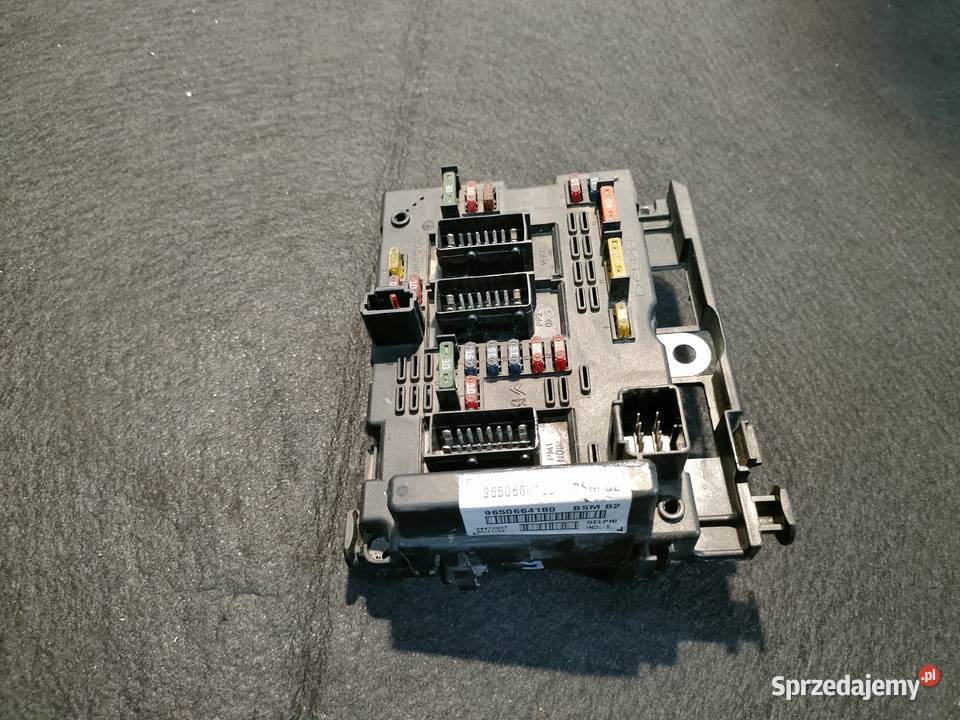 PEUGEOT CITROEN MODUŁ BSM B2 Swarzędz