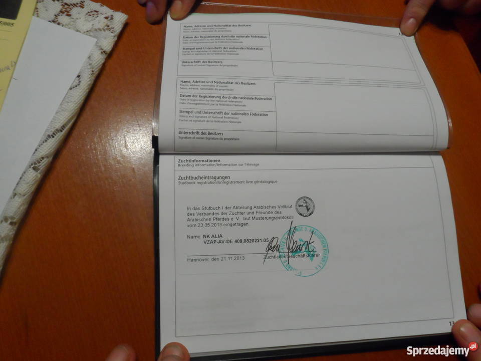 Sprzedam Klacz Arabską z niemieckim pochodzeniem Zatom Stary sprzedam