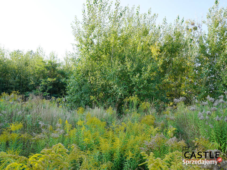 działka z projektem hali I PKP I inwestycja Pruszcz Gdański sprzedam