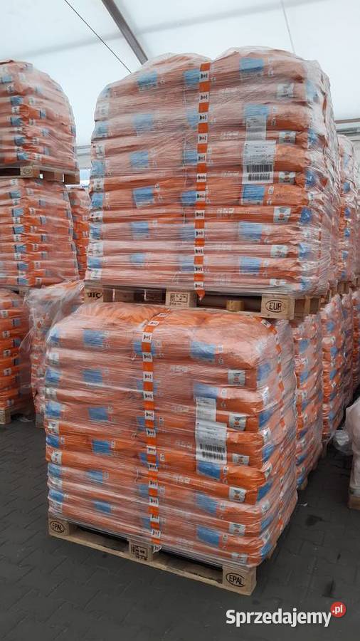 Kukurydza Aldo opak 50 000 nasion KWS Ujazd