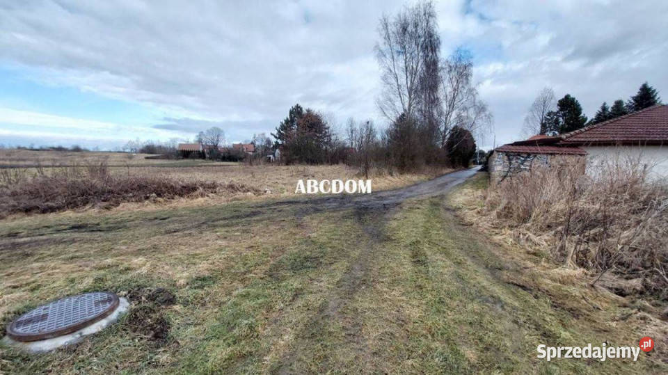 Cholerzyn działki budowlane 165 ara