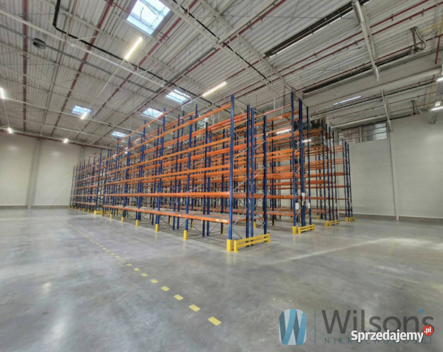 wynajmu lokalu Pruszków 1667m2 Wynajem