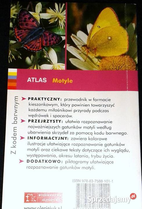 Motyle łatwe rozpoznawanie Atlas red Robert Chełm