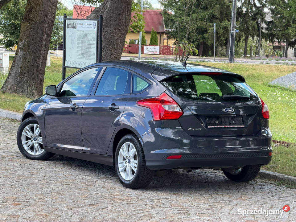 Ford Focus Ford Focus 16 TDCi DPF Champions Gostynin