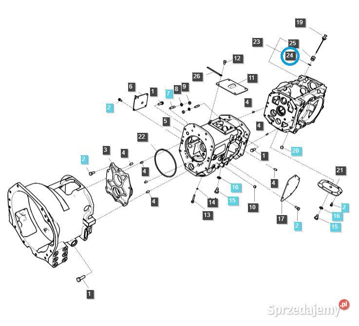 Oring 40029247 LS Tractor Tajęcina