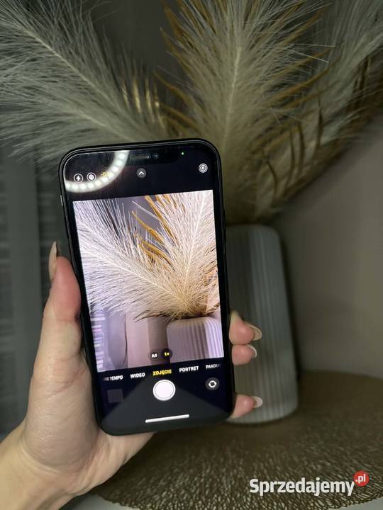 iPhone 11 dodatki wielkopolskie Piła