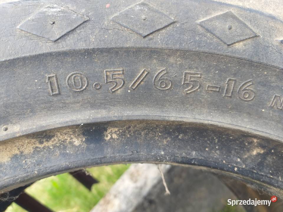Opony 10565R16 Kraczkowa