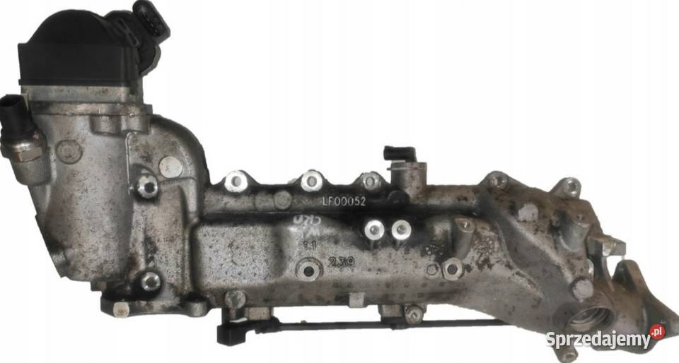 Kolektor LF00052 Mielec