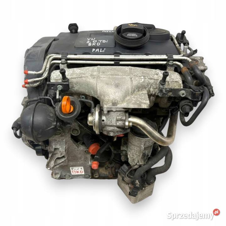 SILNIK BKD VW Golf V Jetta III Touran Skoda Chełm