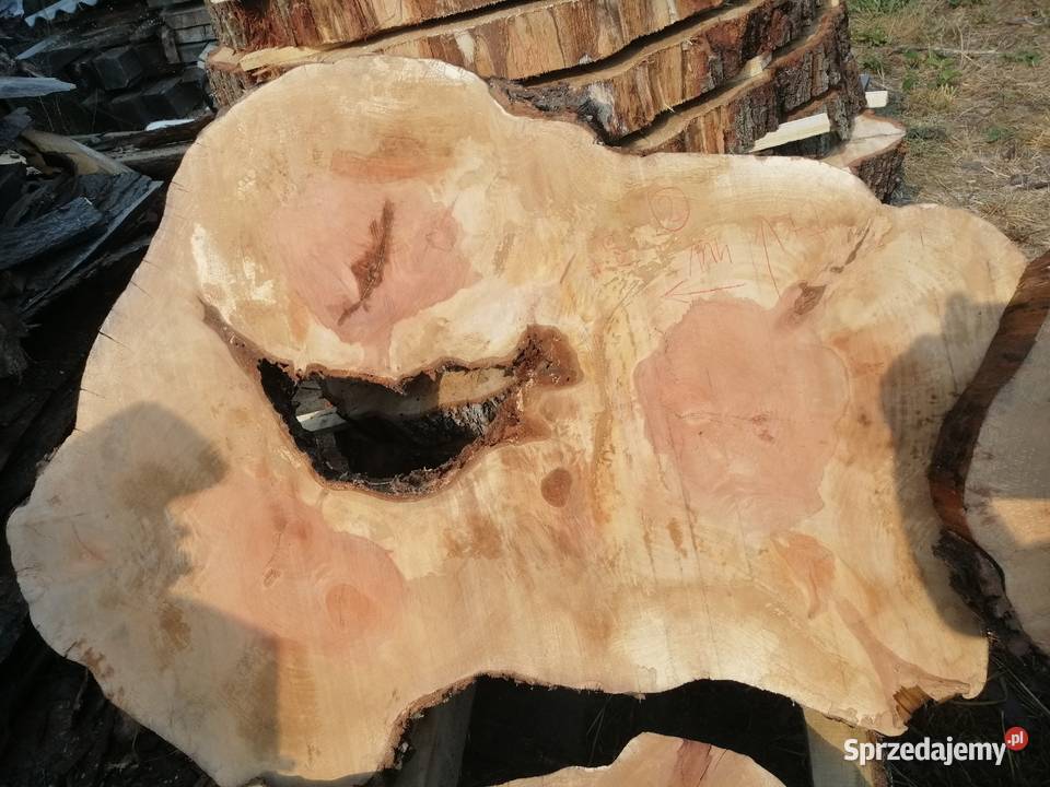 Plastry grusza 118x75x8 także dąb i wiąz Przysucha
