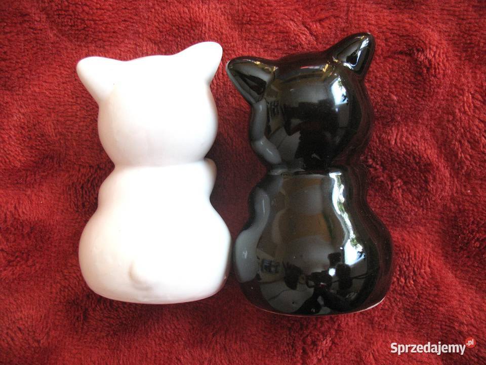 Pieprz i sól Świnki Pieprzniczka Solniczka Siedlce