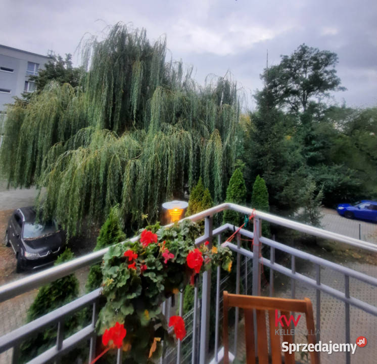 Mieszkanie Poznań Czeremchowa 6309m2 3pok Piętro 1