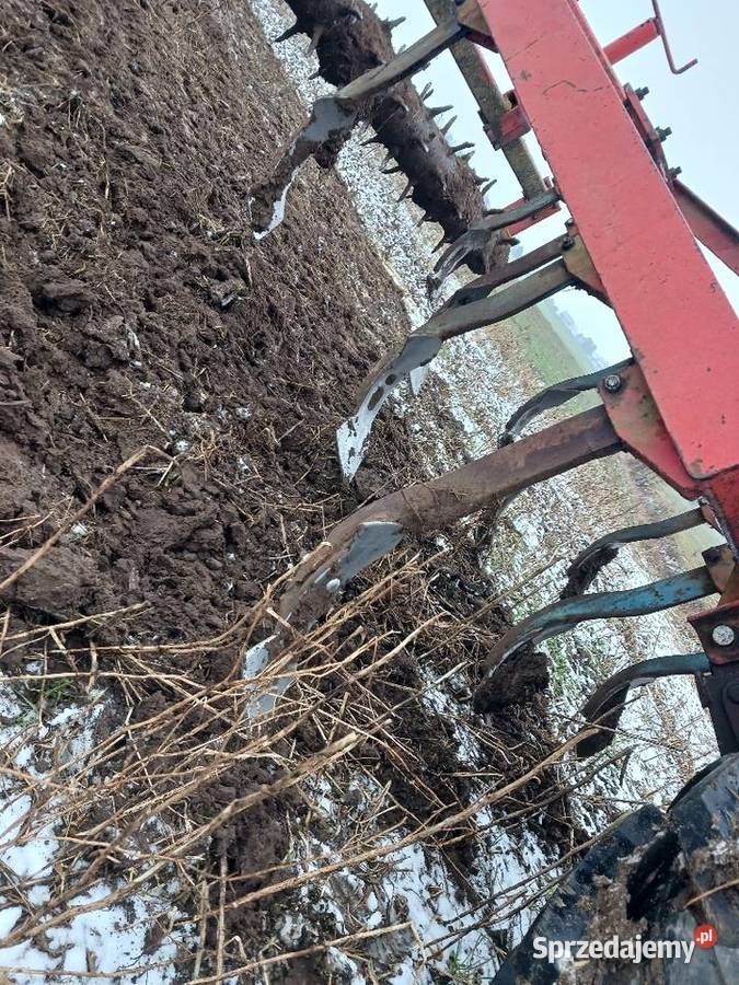 Gruber Landsberg 11 łap nieuszkodzony Szczuczyn