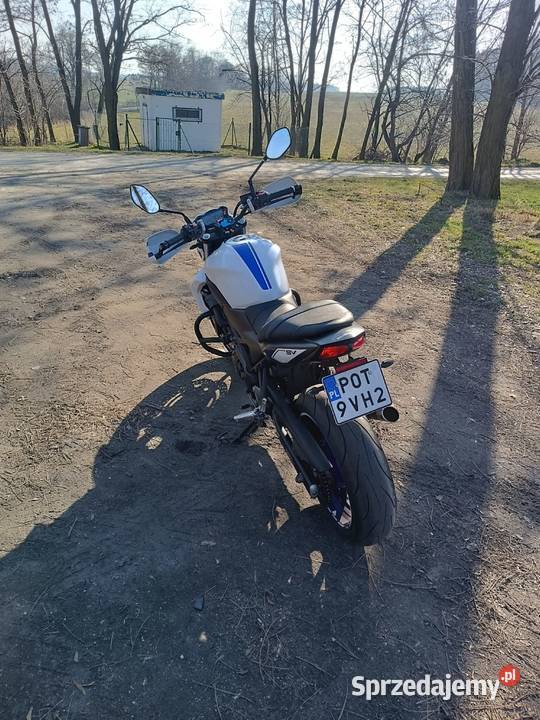 SUZUKI SV 650 2017 wielkopolskie Ostrzeszów sprzedam
