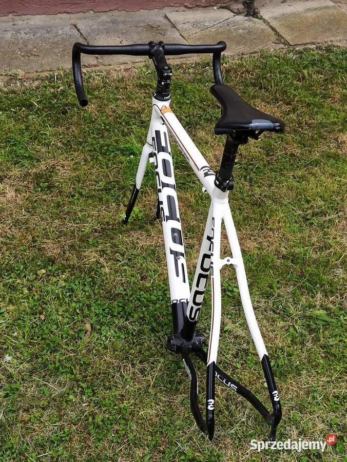 Rama rowerowa Focus Arriba rozmiar L frameset Olsztyn sprzedam