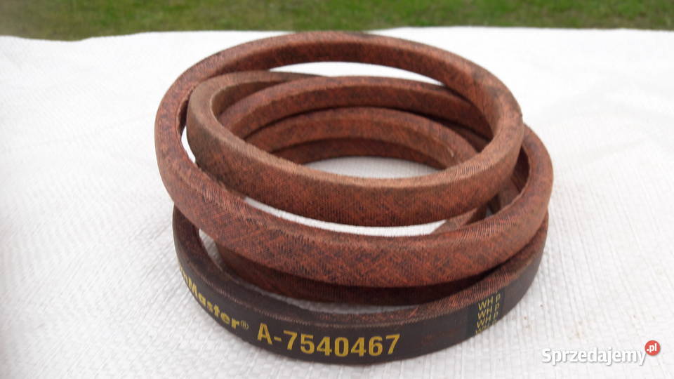 Pasek 231 YARDMAN Sarzyna