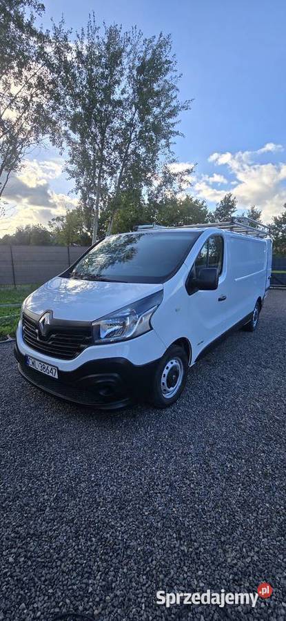 Renault Trafic z bagaznikiem dachowym Szpetal Górny