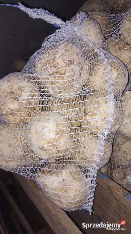 Seler myty 500 Malkowice