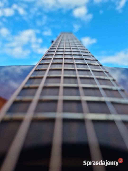 Gitara akustyczna LAG T118D pomorskie Barwik