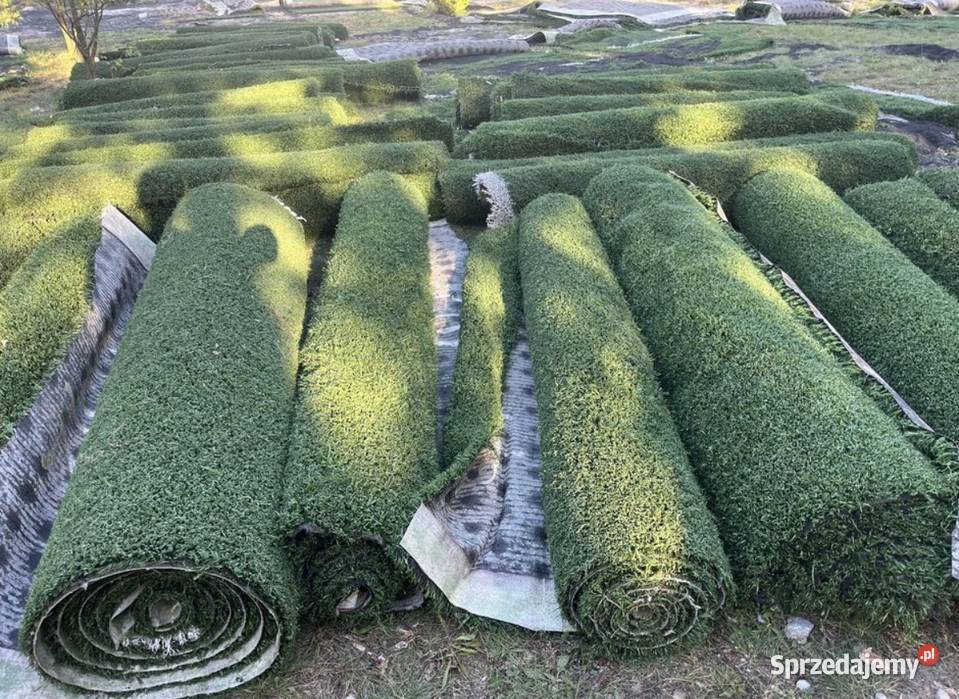Sztuczna Trawa w RolkachProdukt Premium Sztuczna trawa Warszawa