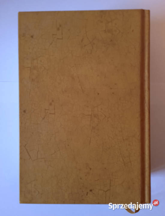 Pismo Święte Stary i Nowy Testament wielkopolskie Poznań