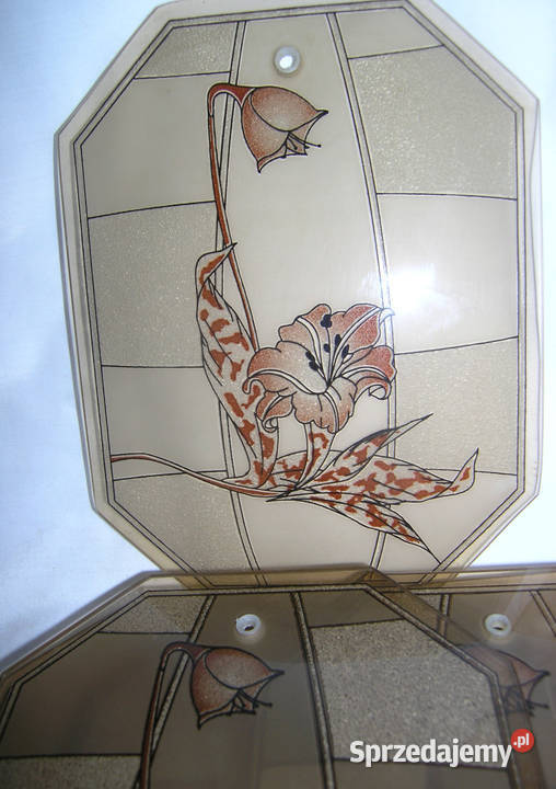 klosze szybki żyrandolDd Bartków