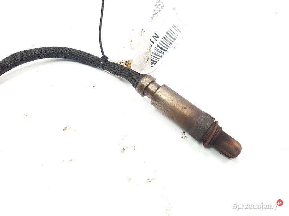 SONDA CHEVROLET EXPRESS Lipno sprzedam