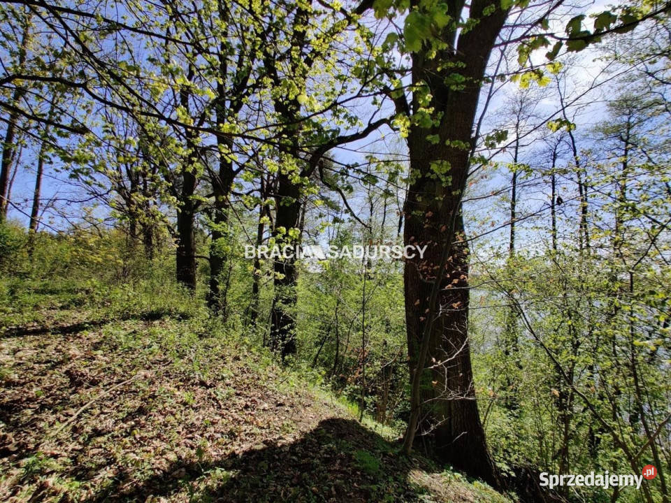 Grunt Łukta 22941m2