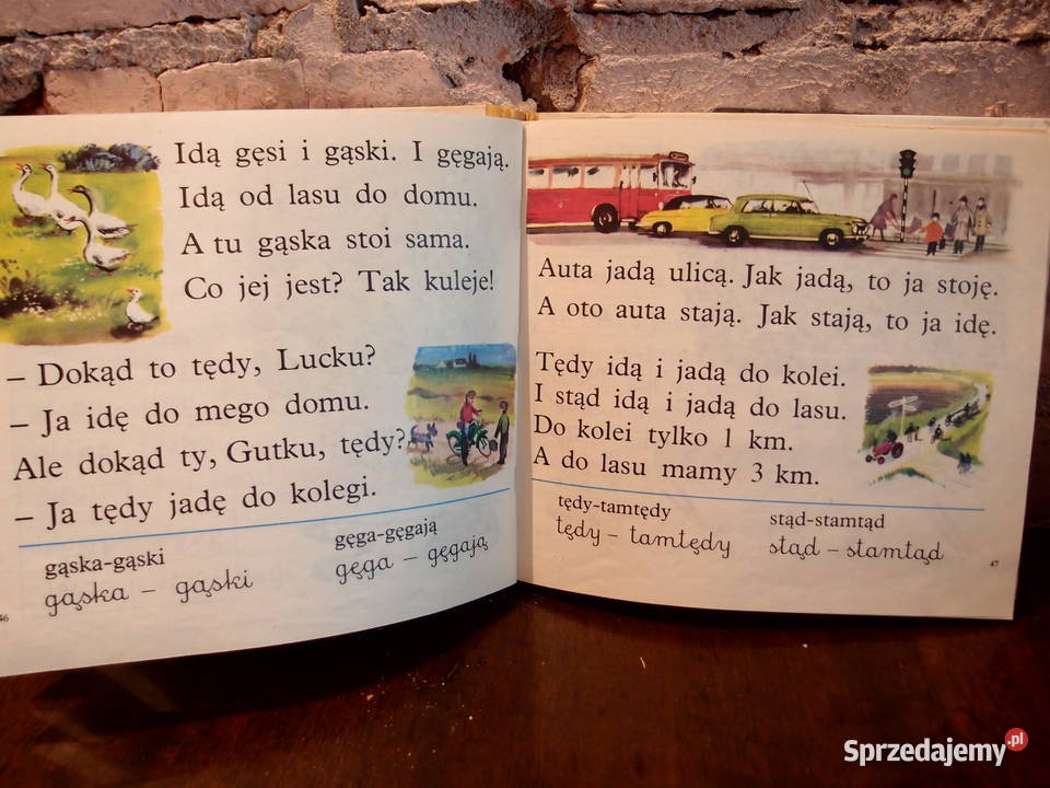 Pamiątki z dawnych lat Elementarz Falskiego