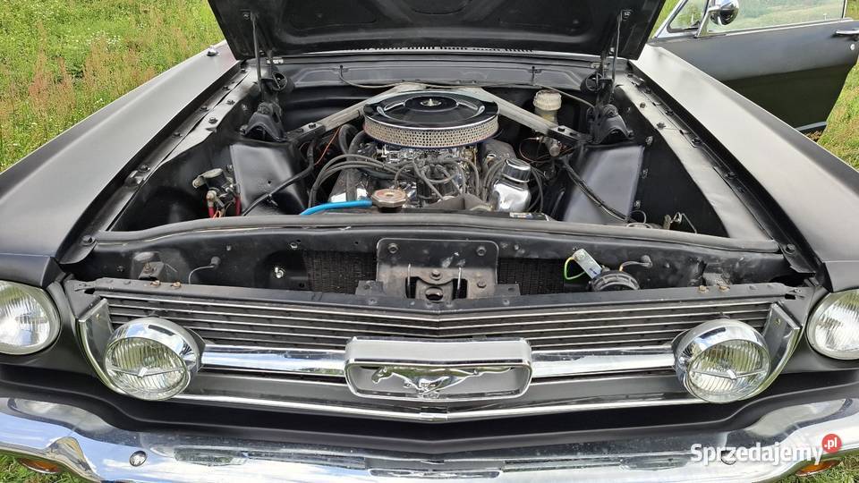 Mustang GT 289 z 1966 roku pełna renowacja
