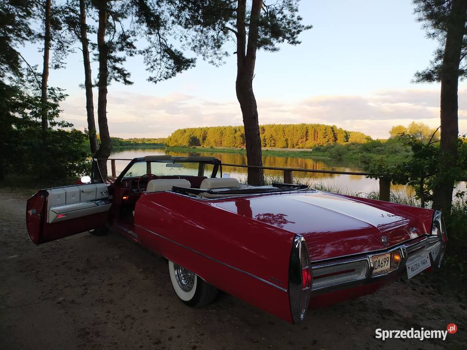 Cadillac Mustang Lincoln Rolls Bentley Mercedes