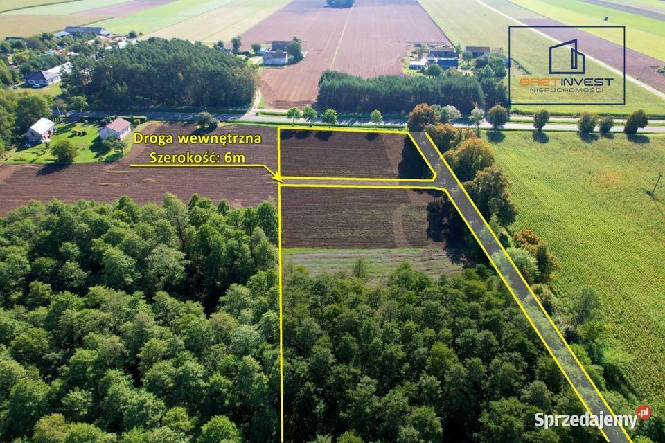 Duża działka budowlana z własnym lasem 7012 m2 Skorosze