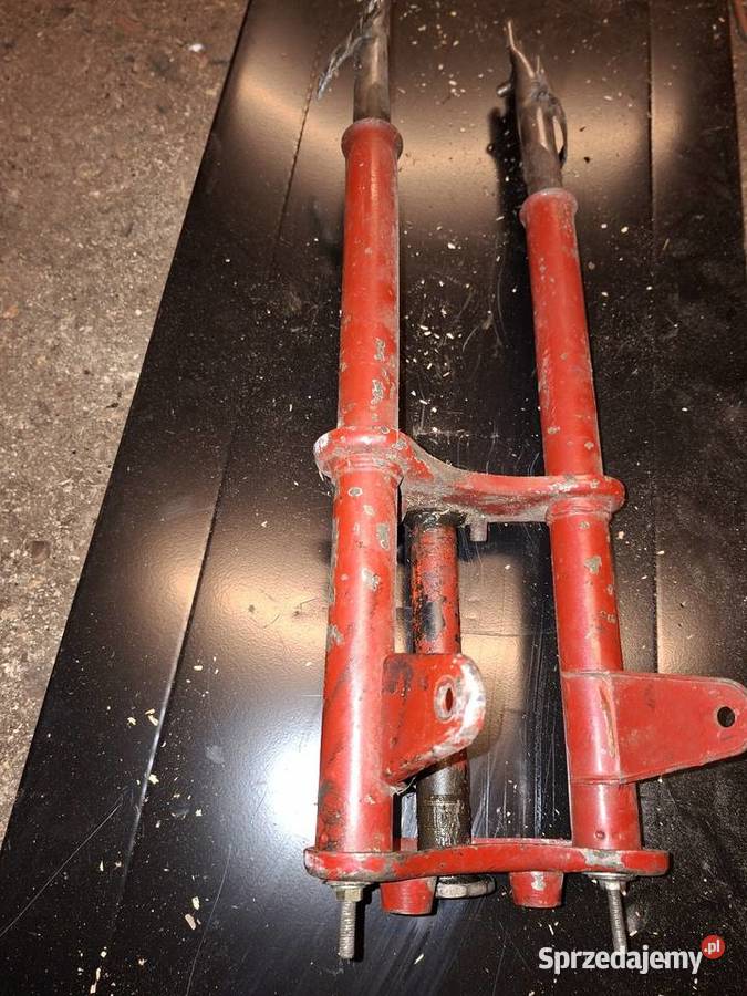 Ogar 200205 dolnośląskie