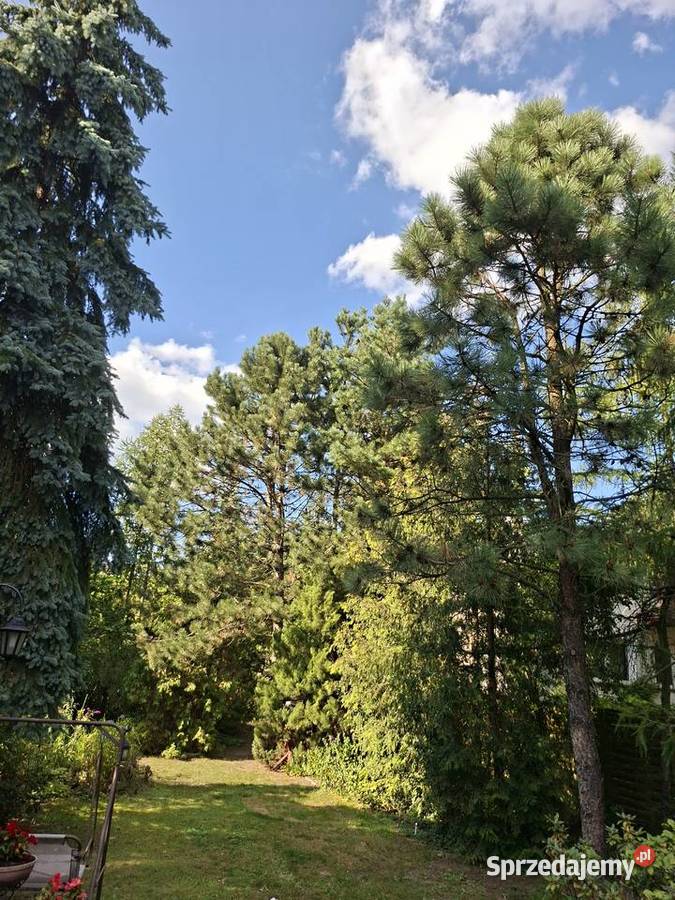 Sprzedam dom z duszą mieszkalny Sulejówek
