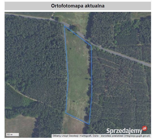 Działka inwestycyjna Strefie Aktywności lubuskie sprzedam
