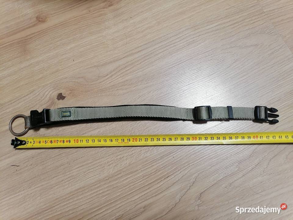 Obroża psa Katowice