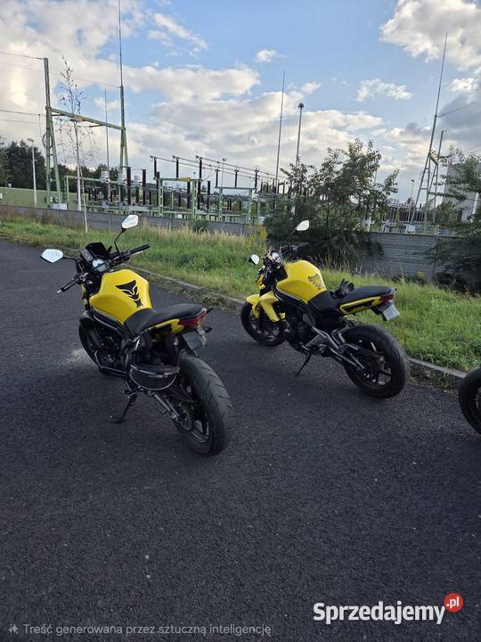 Kawasaki er6n 2012 72 650cm3