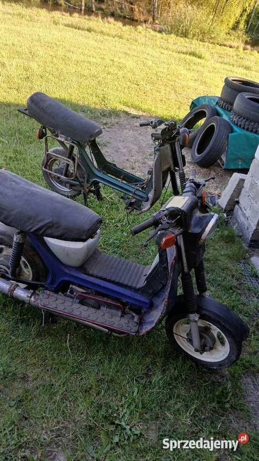 Simsony sr 50 sprzedm zamienie caly pakiet Kartuzy