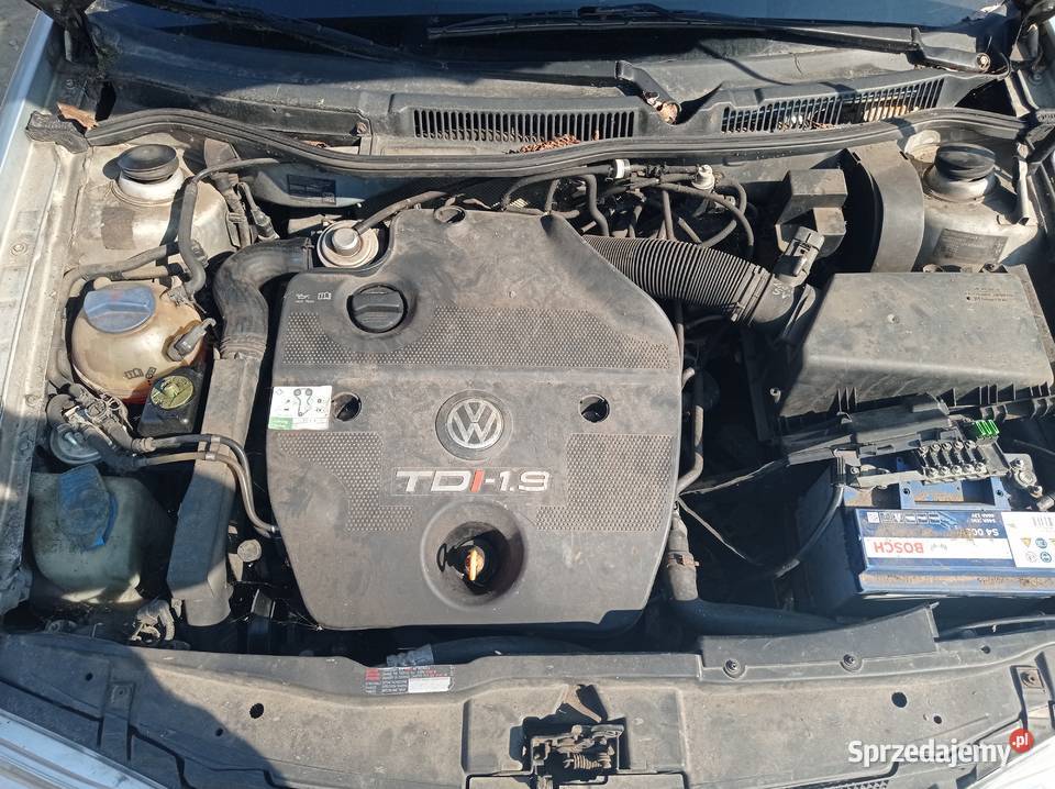 Volkswagen Golf 19 TDI Kombi 81 kW 2000 r dawca Szklarka Myślniewska