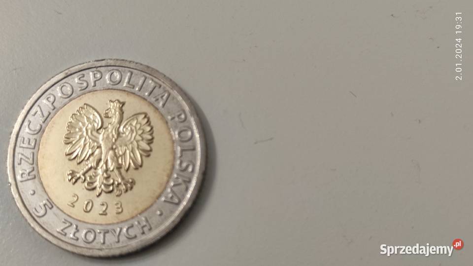 5 2023r GOŚCIKOWOPARADYŻ POCYSTERSKI KLASZTOR Koronowo sprzedam